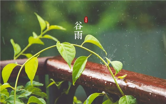 640.webp.jpg 640.webp.jpg